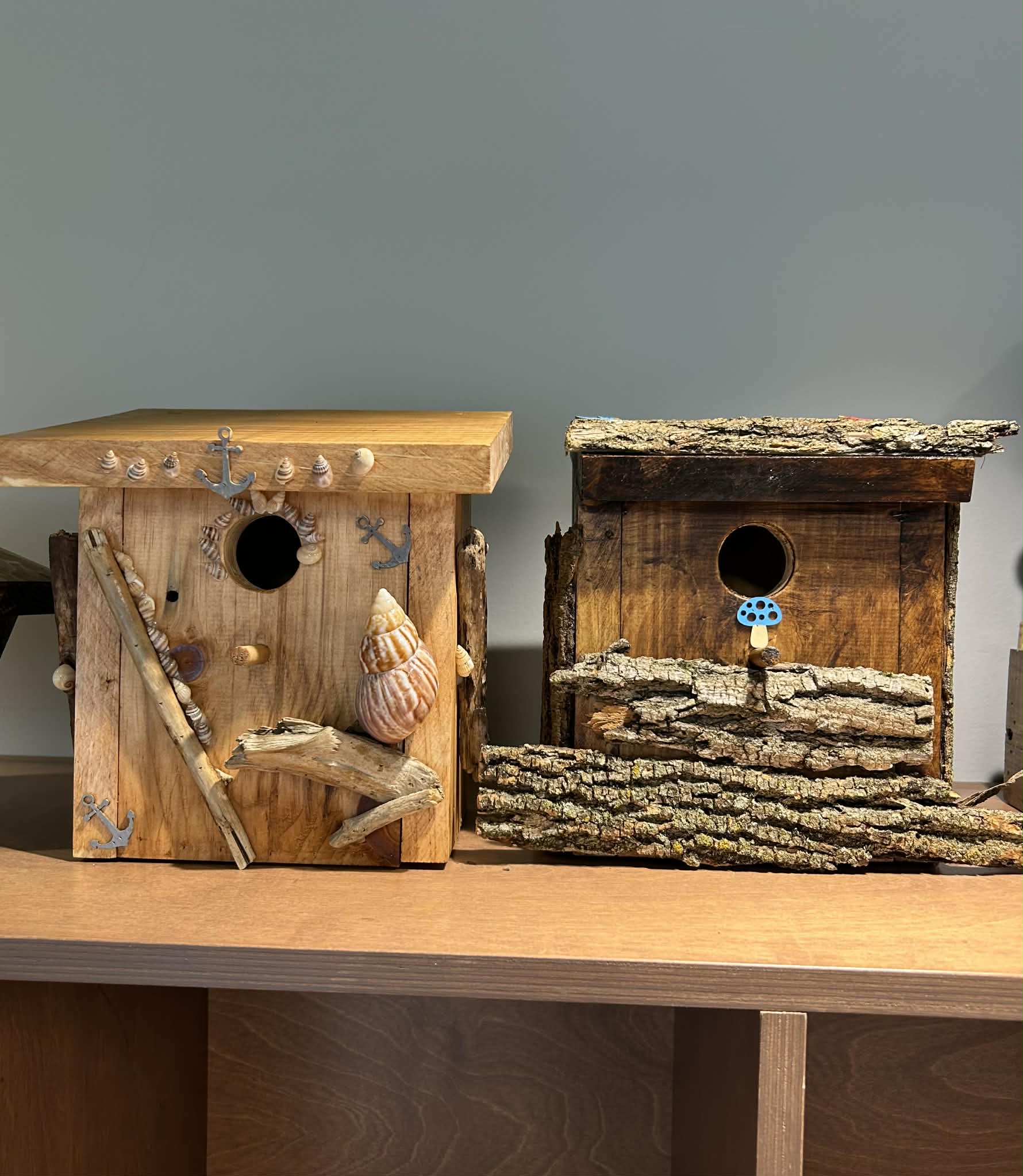 Projet À la rescousse des oiseaux, accompagné par IDÉE
