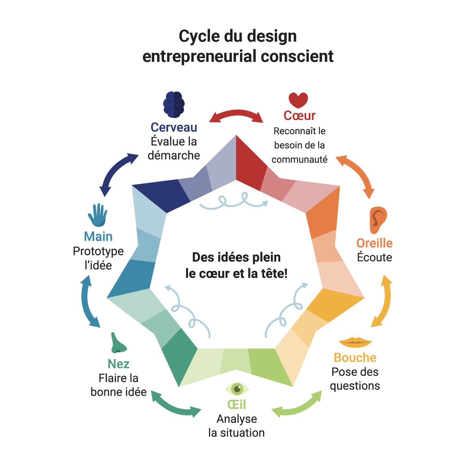 Cycle du design entrepreneurial conscient